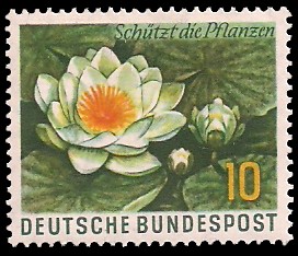 10 Pf Briefmarke: Schützt die Pflanzen