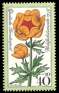 40 + 20 Pf Briefmarke: Wohlfahrtsmarke 1975, Alpenblumen