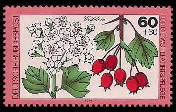 60 + 30 Pf Briefmarke: Für die Wohlfahrtspflege 1979