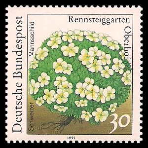 30 Pf Briefmarke: Pflanzen im Rennsteiggarten Oberhof