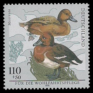 110 + 50 Pf Briefmarke: Wohlfahrtsmarke 1998, Vögel