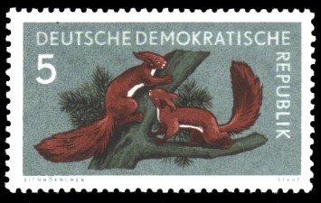 5 Pf Briefmarke: Waldtiere, Eichhörnchen