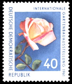 40 Pf Briefmarke: Internationale Gartenbauausstellung 1961, Rose
