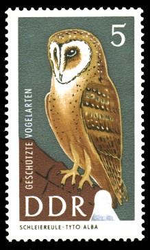 5 Pf Briefmarke: Geschützte Vogelarten, Schleiereule
