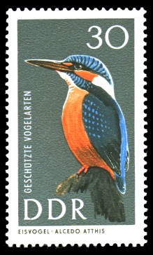30 Pf Briefmarke: Geschützte Vogelarten, Eisvogel