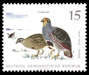 15 Pf Briefmarke: Niederwild, Rebhuhn