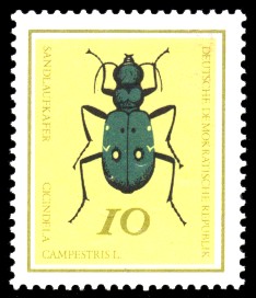 10 Pf Briefmarke: Nützliche Käfer, Sandlaufkäfer