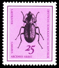 25 Pf Briefmarke: Nützliche Käfer, Laufkäfer