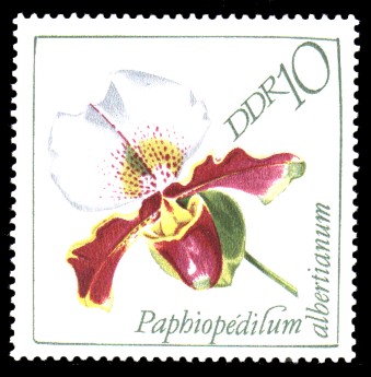 10 Pf Briefmarke: Orchideen
