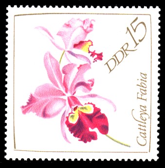 15 Pf Briefmarke: Orchideen