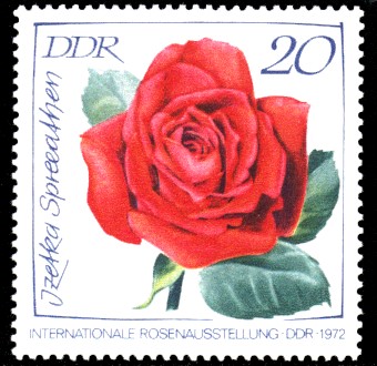 20 Pf Briefmarke: Internationale Rosenausstellung, Izetka Spreeathen