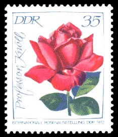 35 Pf Briefmarke: Internationale Rosenausstellung, Professor Knöll