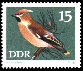 15 Pf Briefmarke: Naturschutz, Singvögel, Seidenschwanz