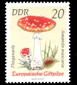 20 Pf Briefmarke: Europäische Giftpilze, Fliegenpilz