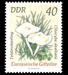 40 Pf Briefmarke: Europäische Giftpilze, Feldtrichterling