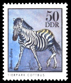 50 Pf Briefmarke: Böhm-Zebra, Tiere aus den Tierparks und zoologischen Gärten der DDR