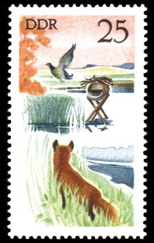 25 Pf Briefmarke: Jagd in der DDR, Rotfuchs u Stockente