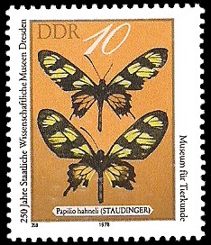 10 Pf Briefmarke: 250 Jahre Staatliche Wissenschaftliche Museen Dresden, Papilio hahneli
