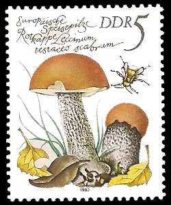 5 Pf Briefmarke: Europäische Speisepilze, Rotkappe