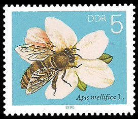 5 Pf Briefmarke: Die Biene, Obstblüte