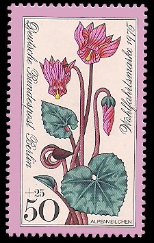 50 + 25 Pf Briefmarke: Wohlfahrtsmarke 1975, Alpenblumen