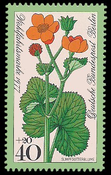 40 + 20 Pf Briefmarke: Wohlfahrtsmarke 1977, Wiesenblumen