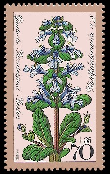 70 + 35 Pf Briefmarke: Wohlfahrtsmarke 1978, Waldblumen