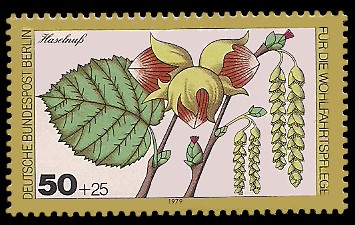 50 + 25 Pf Briefmarke: Wohlfahrtsmarke 1979, Wald-Blüten u Früchte