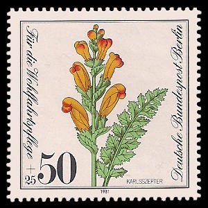 50 + 25 Pf Briefmarke: Wohlfahrtsmarke 1981, gefährdete Wasserpflanzen