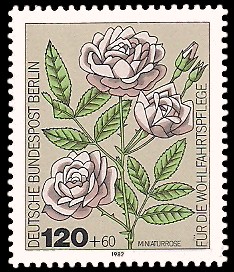 120 + 60 Pf Briefmarke: Wohlfahrtsmarke 1982, Rosen