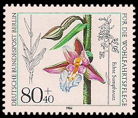 80 + 40 Pf Briefmarke: Wohlfahrtsmarke 1984, Orchideen